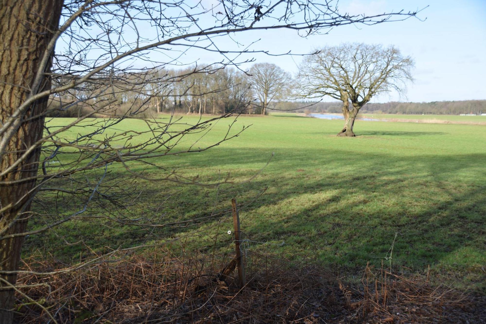 Vakantiehuis De Veldhoen Vrijgelegen Nabij De Rivier De Vecht Beerze Bagian luar foto