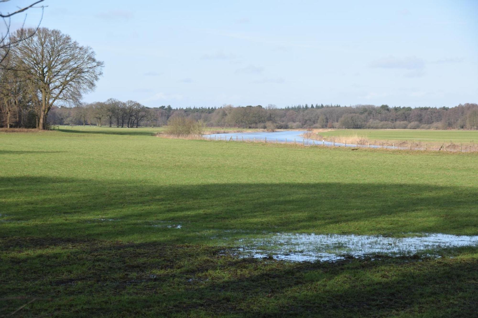 Vakantiehuis De Veldhoen Vrijgelegen Nabij De Rivier De Vecht Beerze Bagian luar foto
