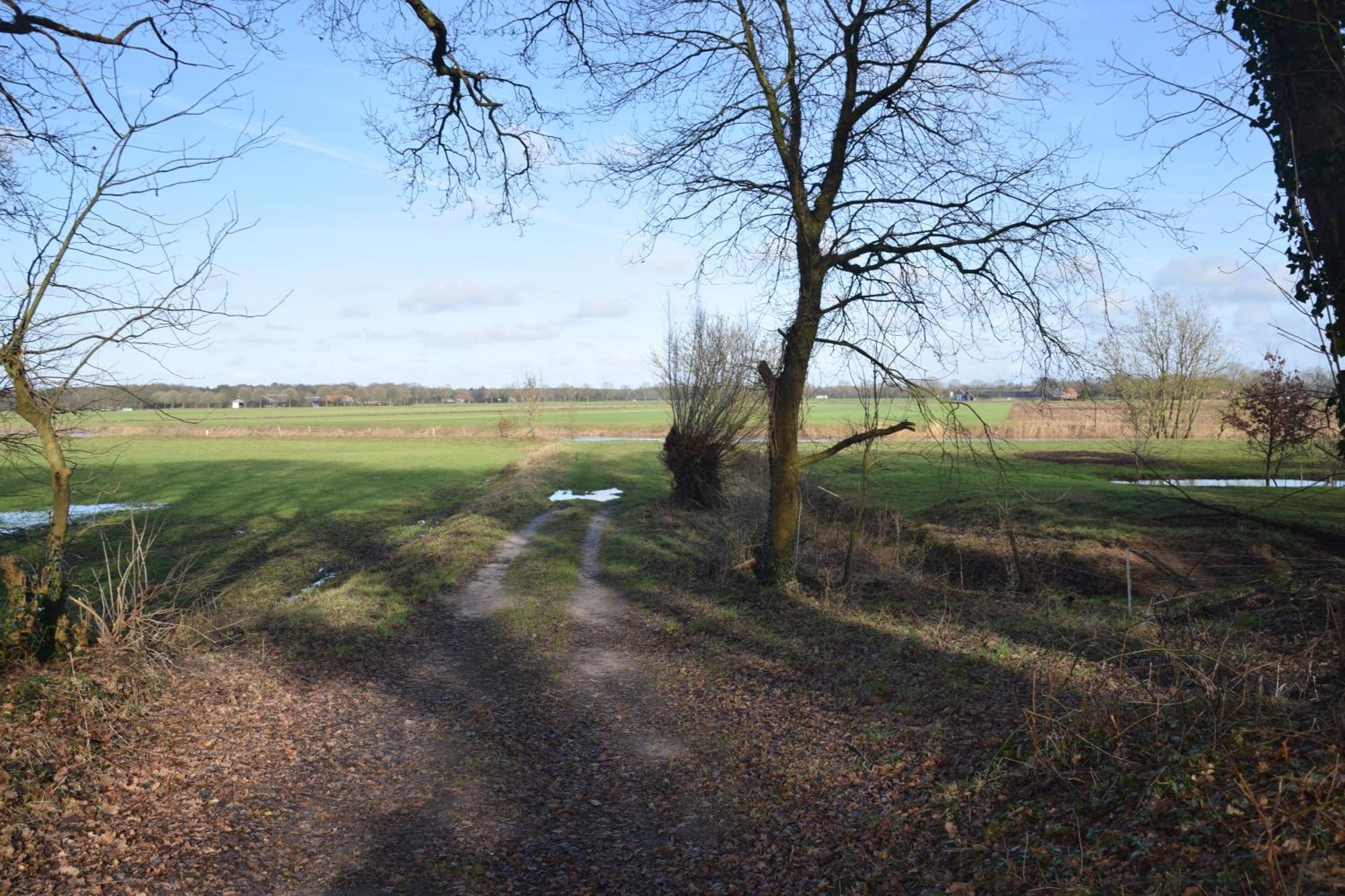 Vakantiehuis De Veldhoen Vrijgelegen Nabij De Rivier De Vecht Beerze Bagian luar foto